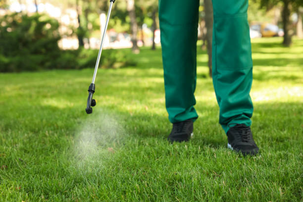 Trusted Grand Marais, MN Pest Control Experts