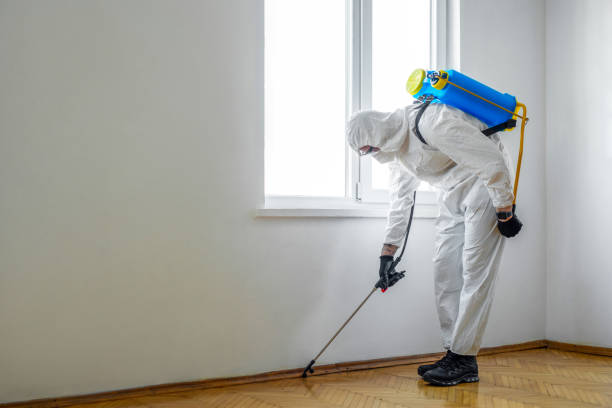 Best Mosquito Control Services  in Grand Marais, MN